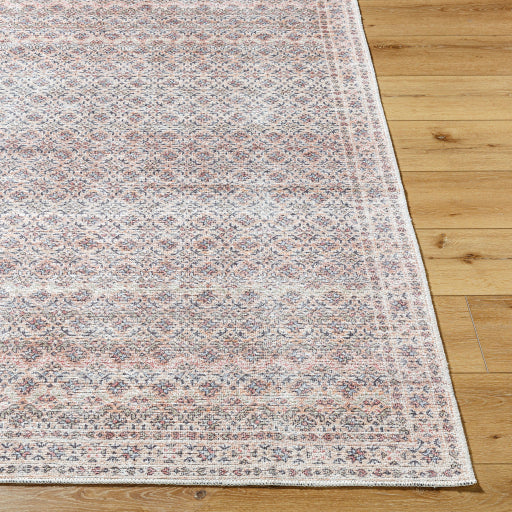 Surya Vinny VNY-2321 Beige Traditional  Rug