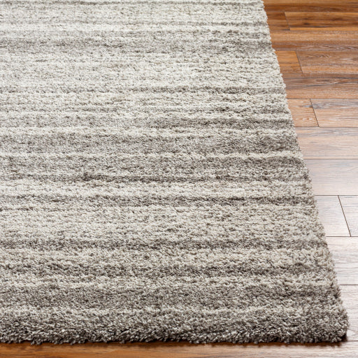 Surya Wilder WDR-2000 Gray Modern  Rug