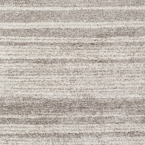 Surya Wilder WDR-2000 Gray Modern  Rug