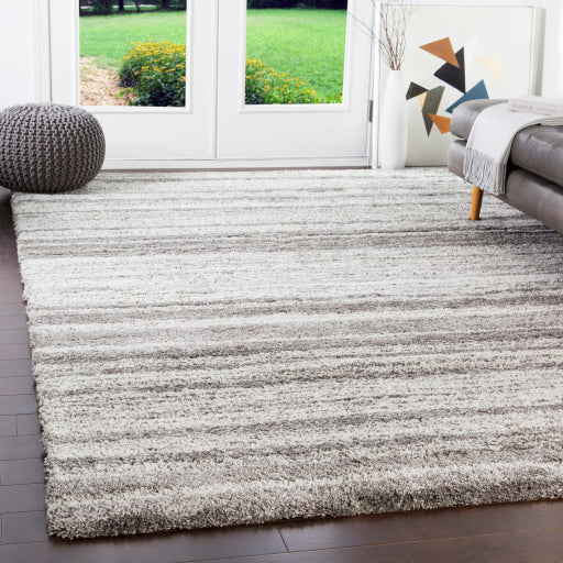 Surya Wilder WDR-2000 Gray Modern  Rug