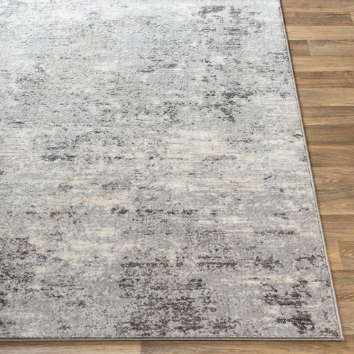 Surya Wanderlust WNL-2310 Light Slate Modern  Rug