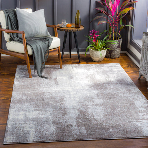 Surya Wanderlust WNL-2322 Taupe Modern  Rug