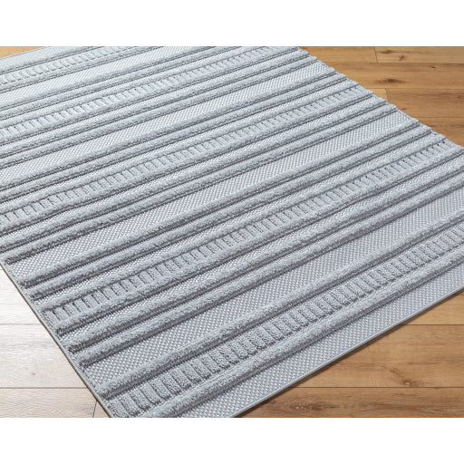 Surya West Palm WPM-2302 Gray Modern  Rug