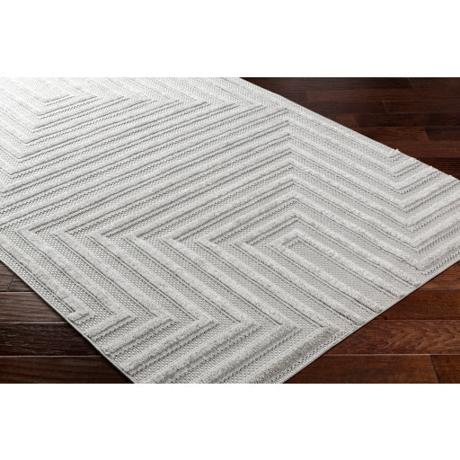 Surya West Palm WPM-2304 Gray Modern  Rug