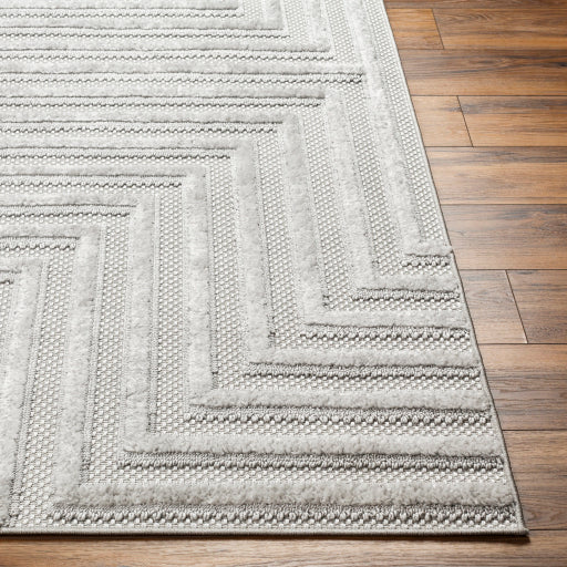 Surya West Palm WPM-2304 Gray Modern  Rug