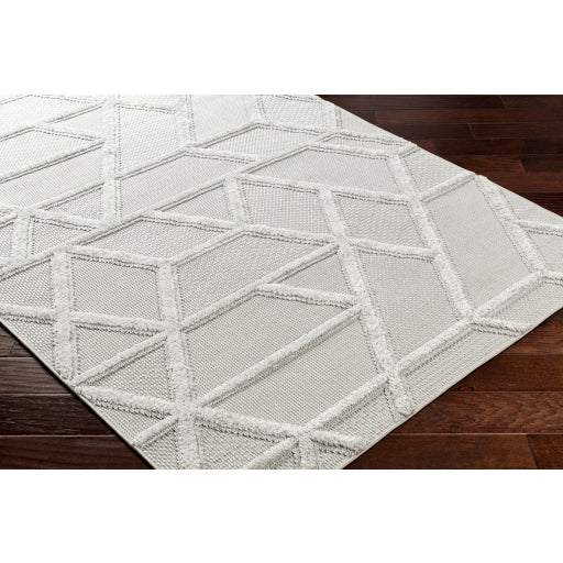 Surya West Palm WPM-2305 Gray Modern  Rug