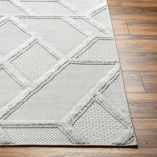 Surya West Palm WPM-2305 Gray Modern  Rug