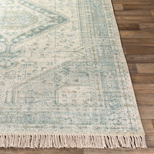 Surya Zainab ZAI-2303 Sage Traditional  Rug