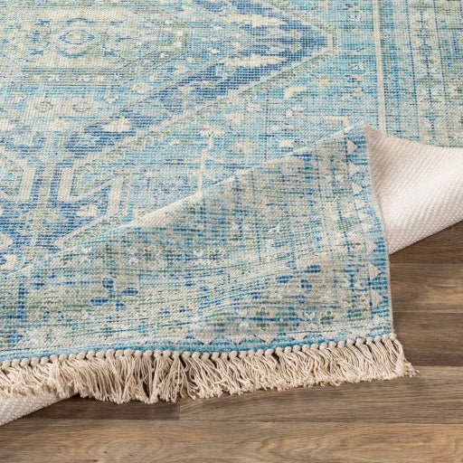 Surya Zainab ZAI - 2304 Aqua Traditional Rug - Rugs - Surya - Atlanta Designer Rugs