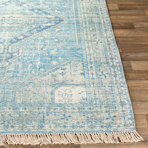 Surya Zainab ZAI - 2304 Aqua Traditional Rug - Rugs - Surya - Atlanta Designer Rugs