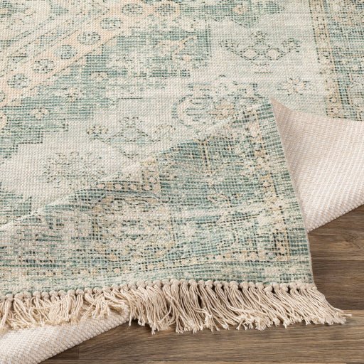 Surya Zainab ZAI - 2311 Sage Traditional Rug - Rugs - Surya - Atlanta Designer Rugs