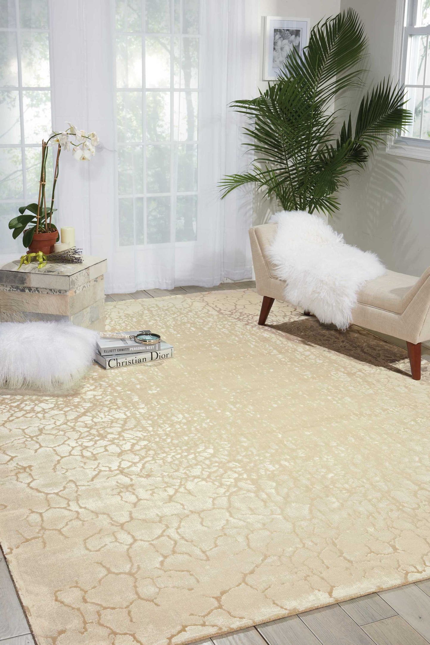 Nourison Home Luminance LUM12 Cream  Transitional Loom Rug