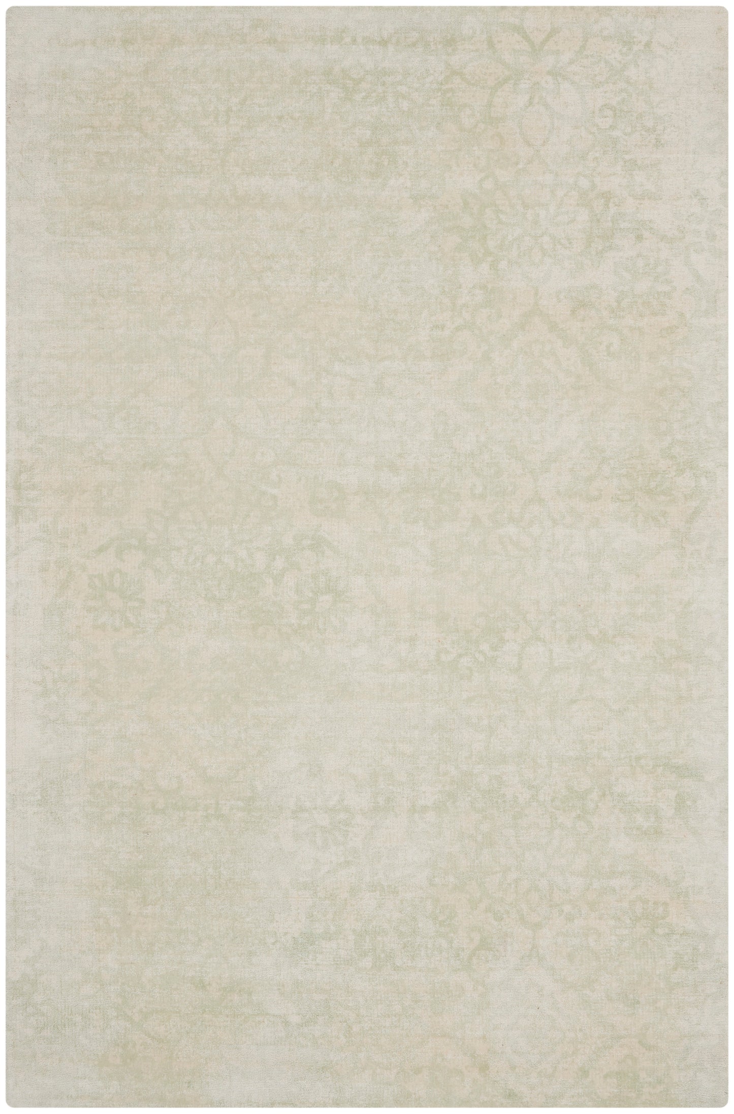 Nourison Home Desert Skies DSK03 Spa  Transitional Loom Rug