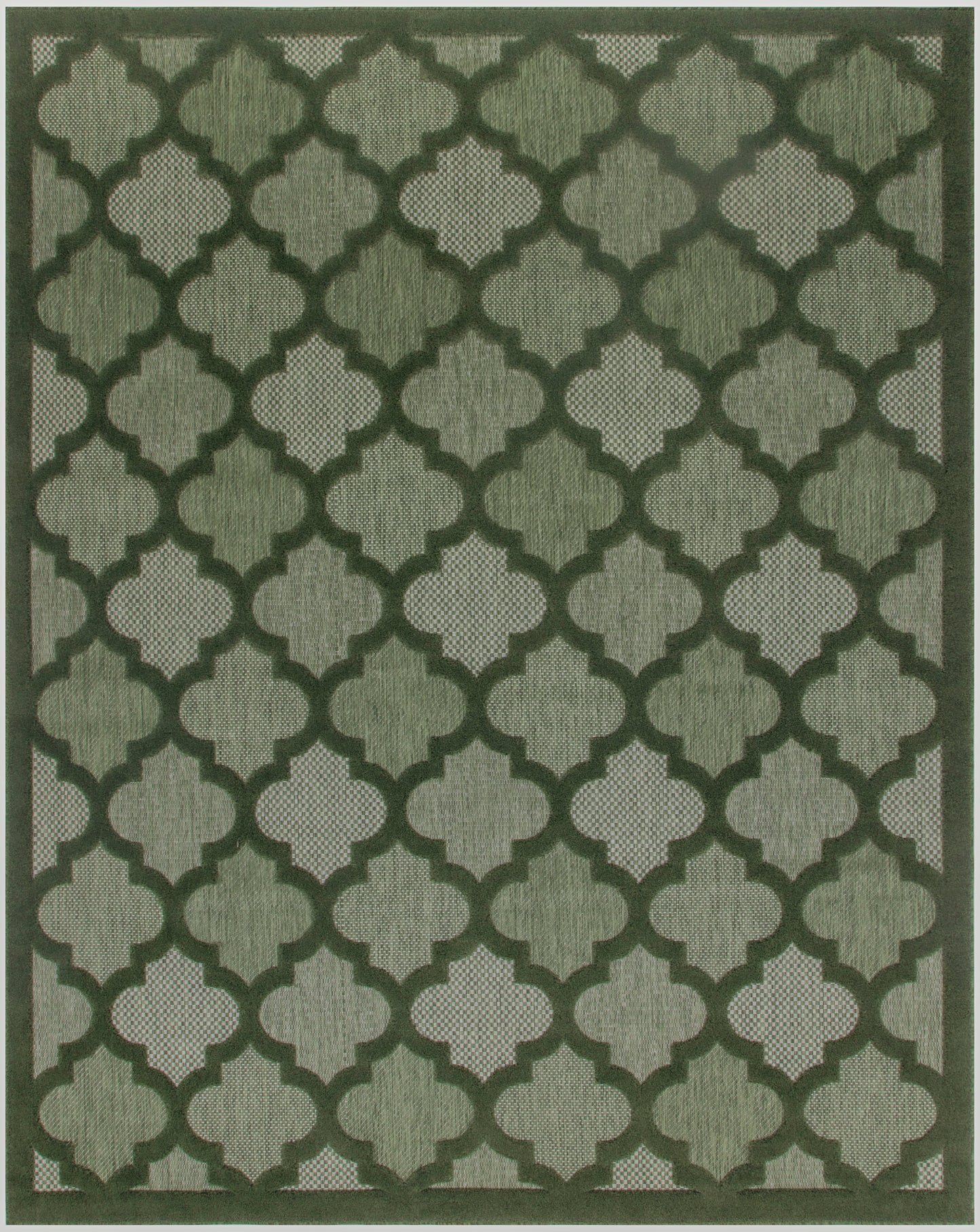 Nourison Home Easy Care NES01 Green  Contemporary Flat Weave Rug